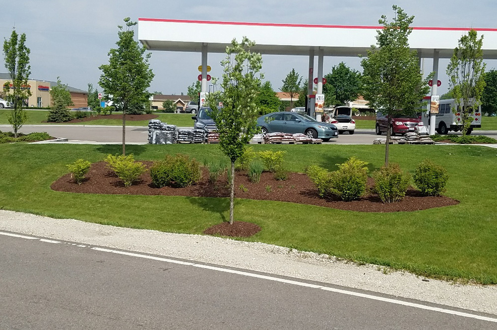 Commercial landscaping